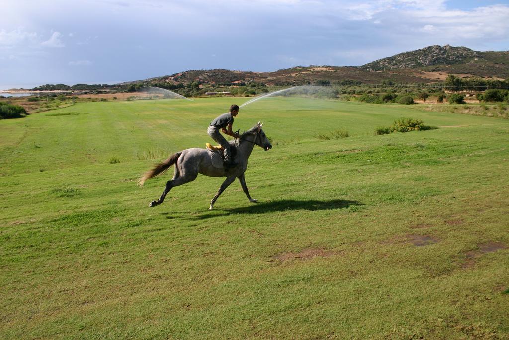 Vila Sa Tiria Chia Exteriér fotografie